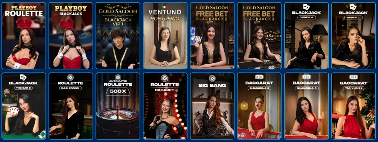 spinfin casino live